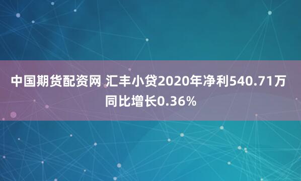 中国期货配资网 汇丰小贷2020年净利540.71万 同比增长0.36%