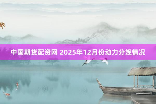中国期货配资网 2025年12月份动力分娩情况